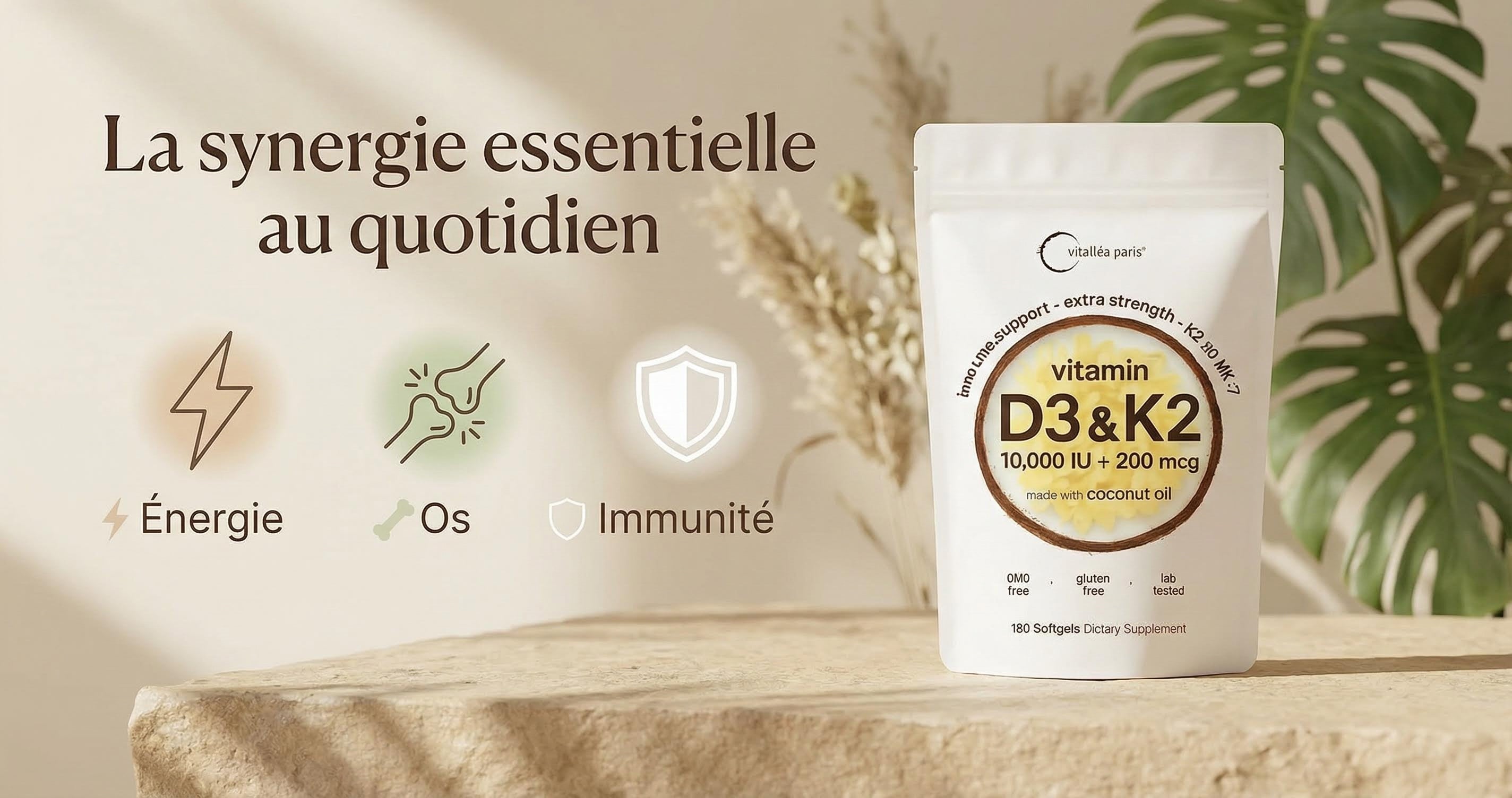 vitamine d3 k2

complément alimentaire naturel prix

meilleur complément vitamine d3

complément alimentaire livraison rapide

complément alimentaire en ligne